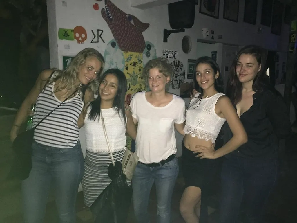 Mila Hostel Medellin Colombia