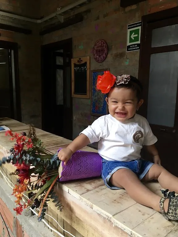 Mila Hostel Medellín Colombia